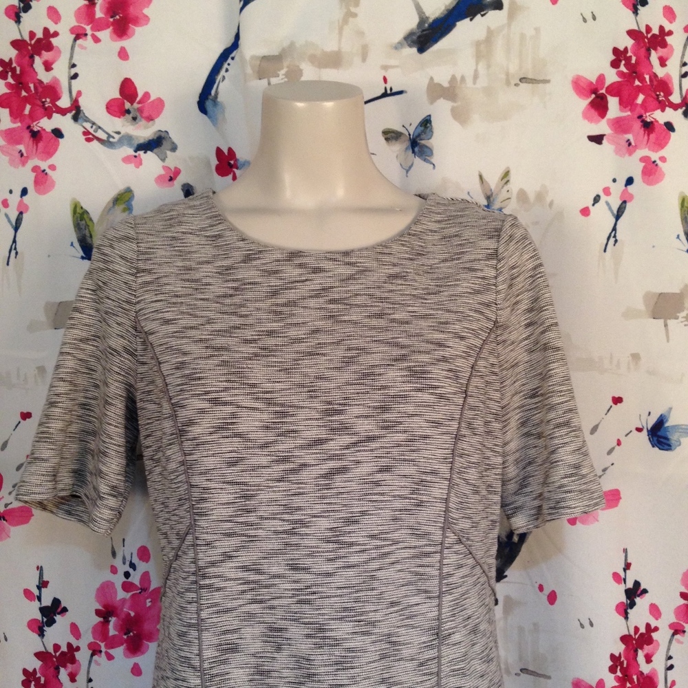 Chico's Striped Shift Dress Size Small - Picture 2 of 8